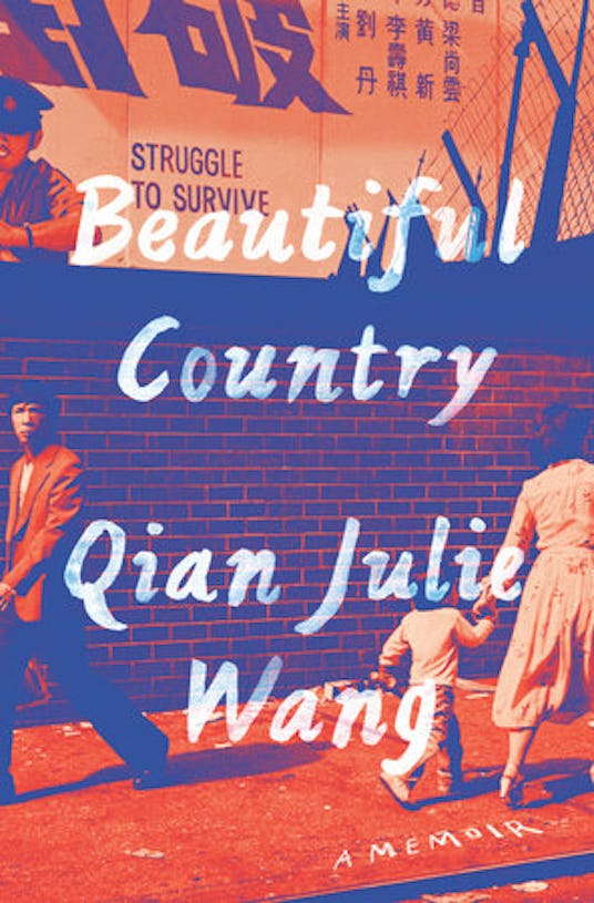"Beautiful Country" Book Cover