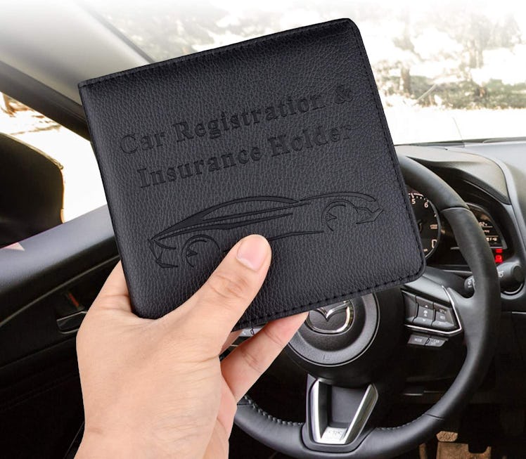 Cacturism Car Registration and Insurance Holder