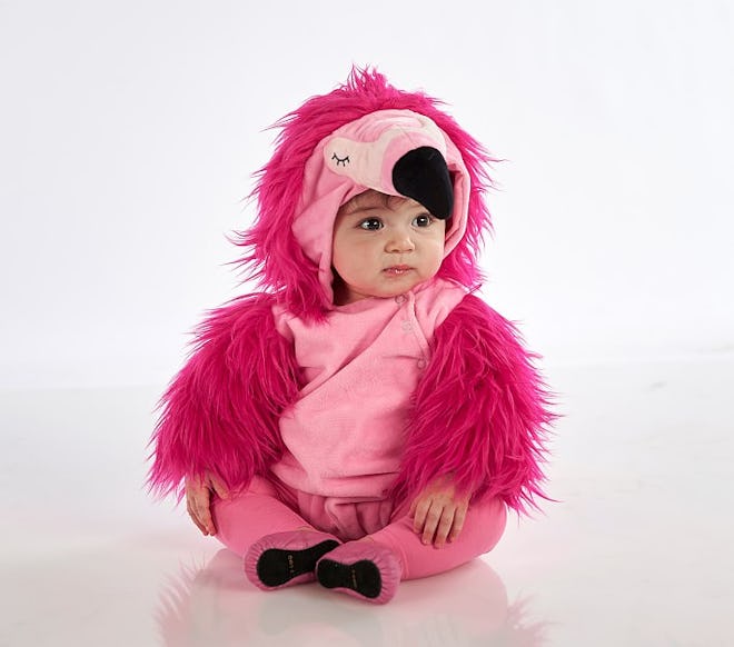 Baby sitting down wearing flamingo costume