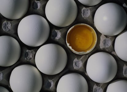 eggs