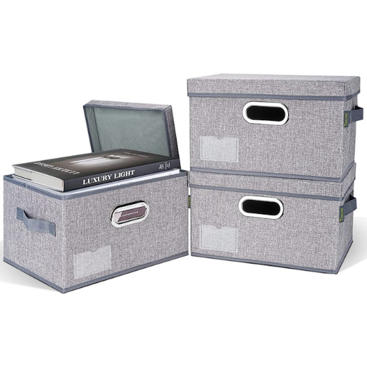 BALEINE Storage Bins with Lids (3-Pack)