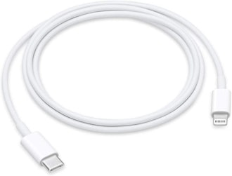 The original Apple Lightning cable is one of the best iPad chargers.