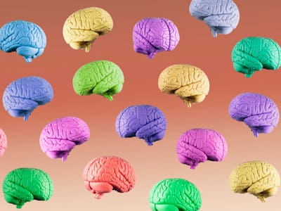 brains