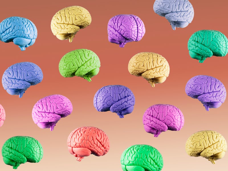 brains