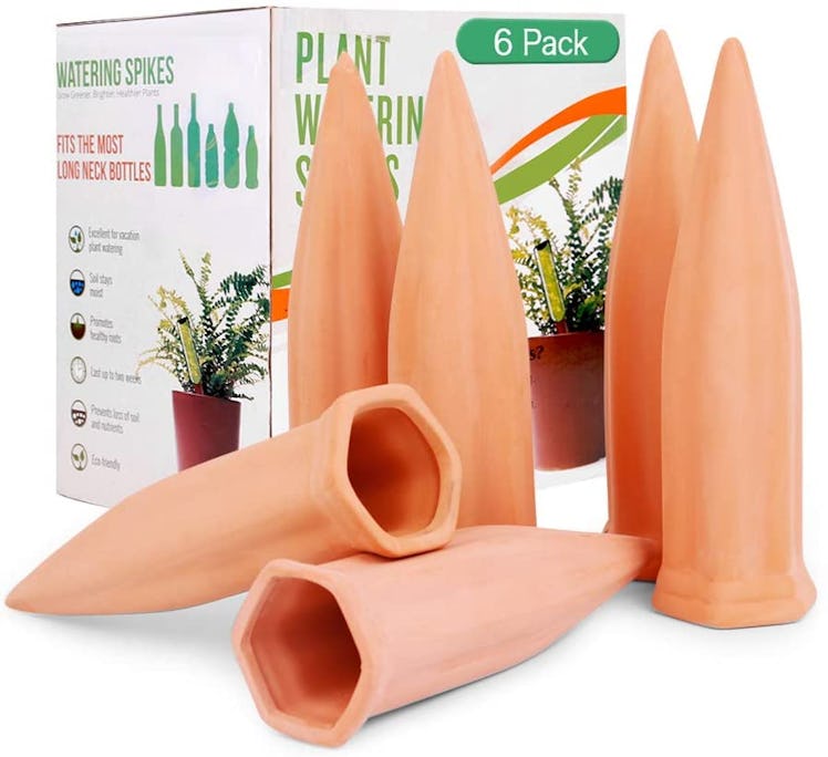 Remiawy Self Watering Plant Stakes (6- Pack)