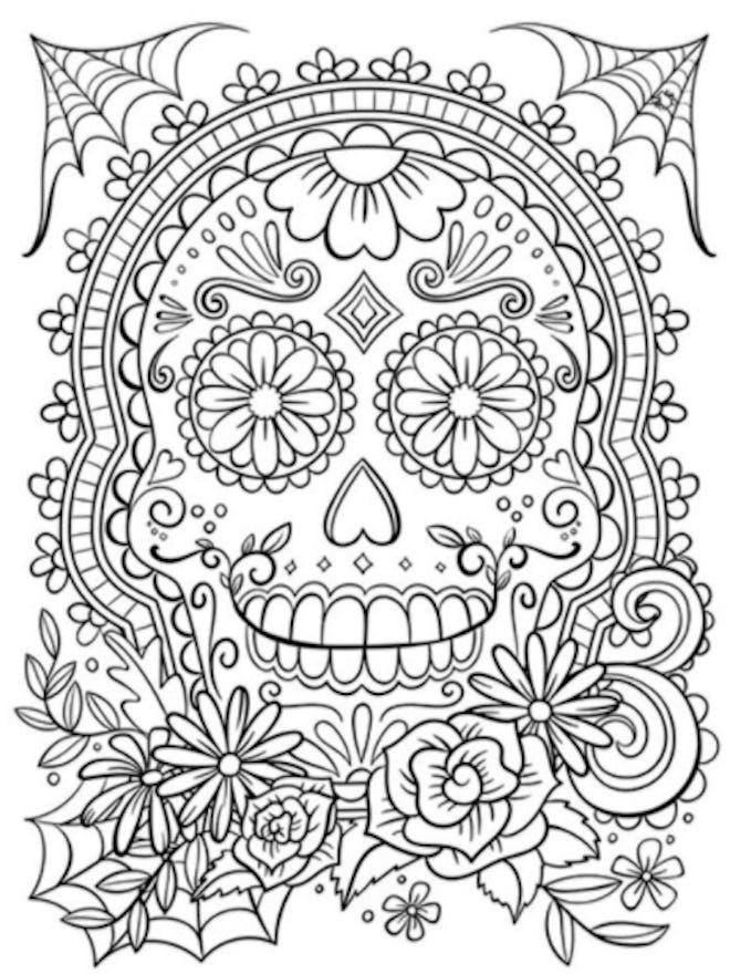 Illustration of a skull 