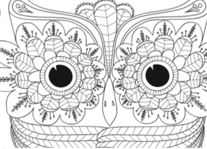 Illustration of owl