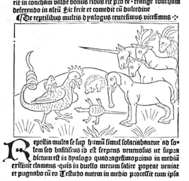 Illustration of animals and mythical creatures