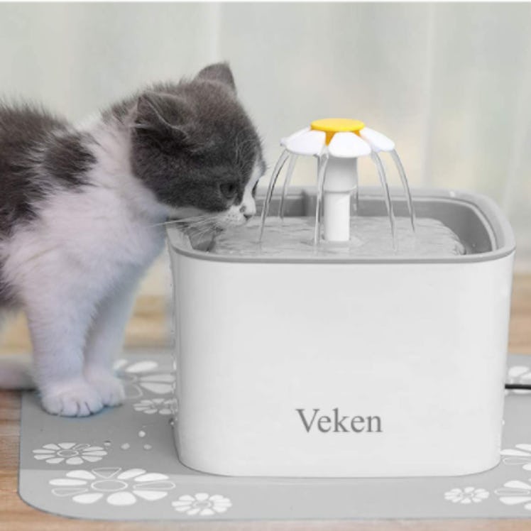 Veken Pet Water Fountain