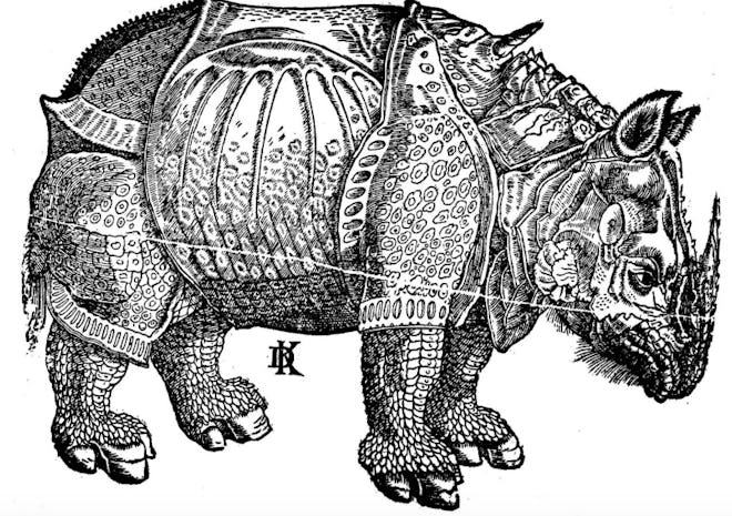 Vintage illustration of a rhinoceros