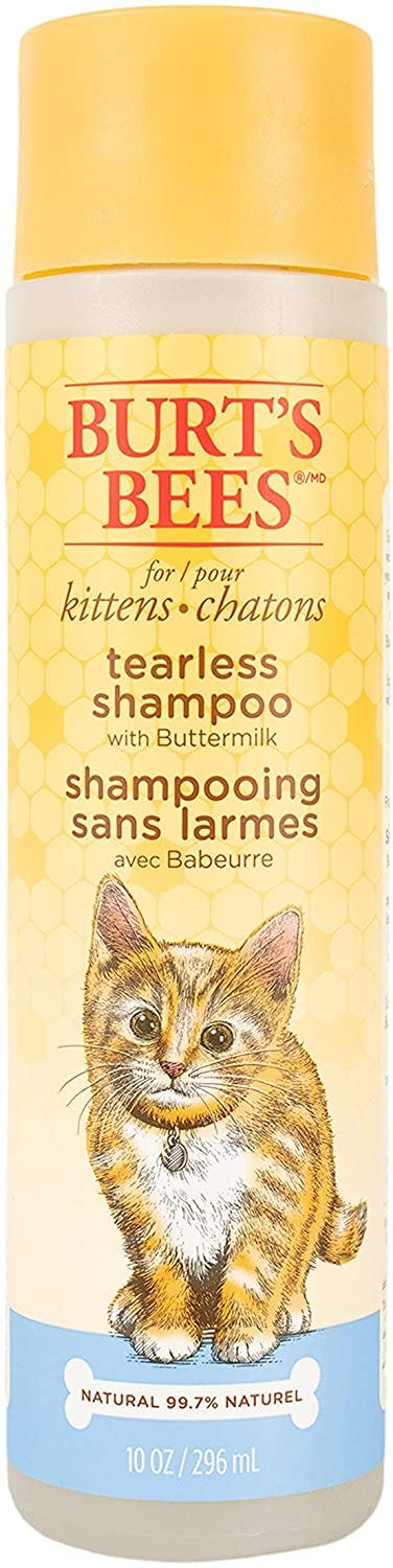 The 9 Best Cat Shampoos, According To Vets