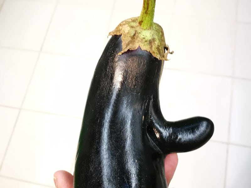 eggplant