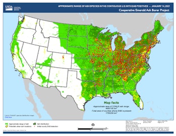The emerald ash borer has been detected throughout much of the range of ash trees in the U.S.