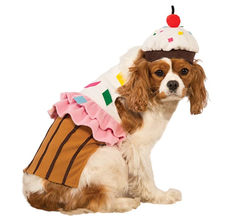 This dog Halloween costume will adorably transform your pup.