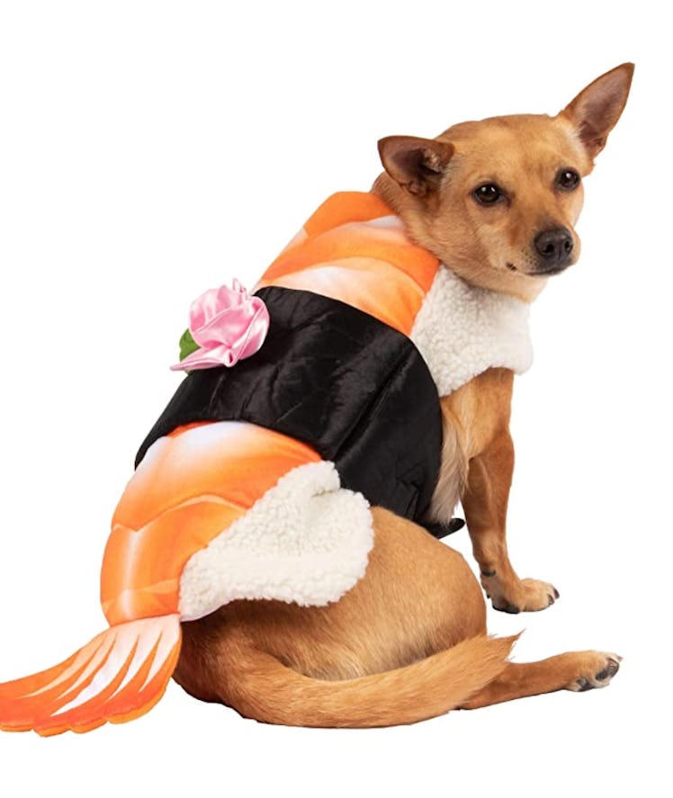 This dog Halloween costume will adorably transform your pup.