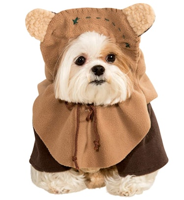 This dog Halloween costume will adorably transform your pup.