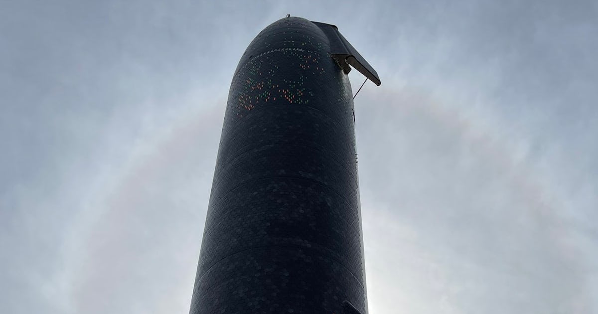 SpaceX Starship: Photo shows impressive heat tiles ahead of major test