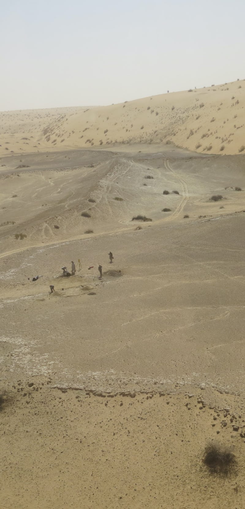 The KAM 4 site in the Nefud Desert in Saudi Arabia