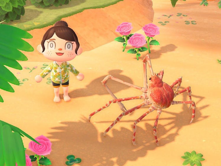 A character next to a  spider crab in Animal Crossing: New Horizons