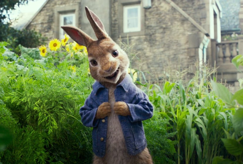James Cordon provides the voice of Peter Rabbit in this movie.