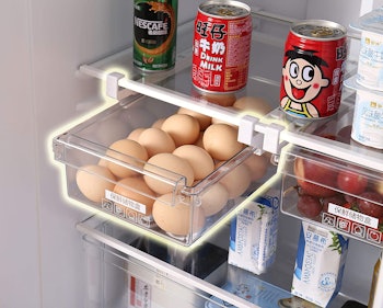 HapiLeap Pull-Out Refrigerator Bin
