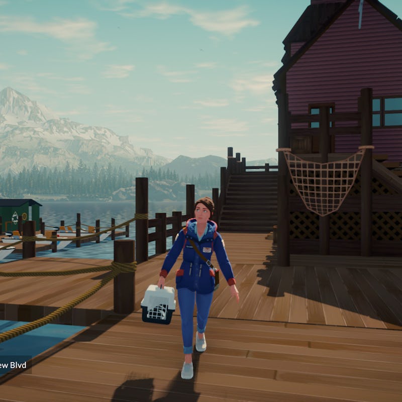 screenshot of woman with cat carrier on dock from Lake video game
