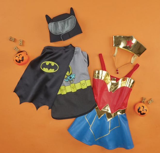 Batman and Wonder Woman pet costumes
