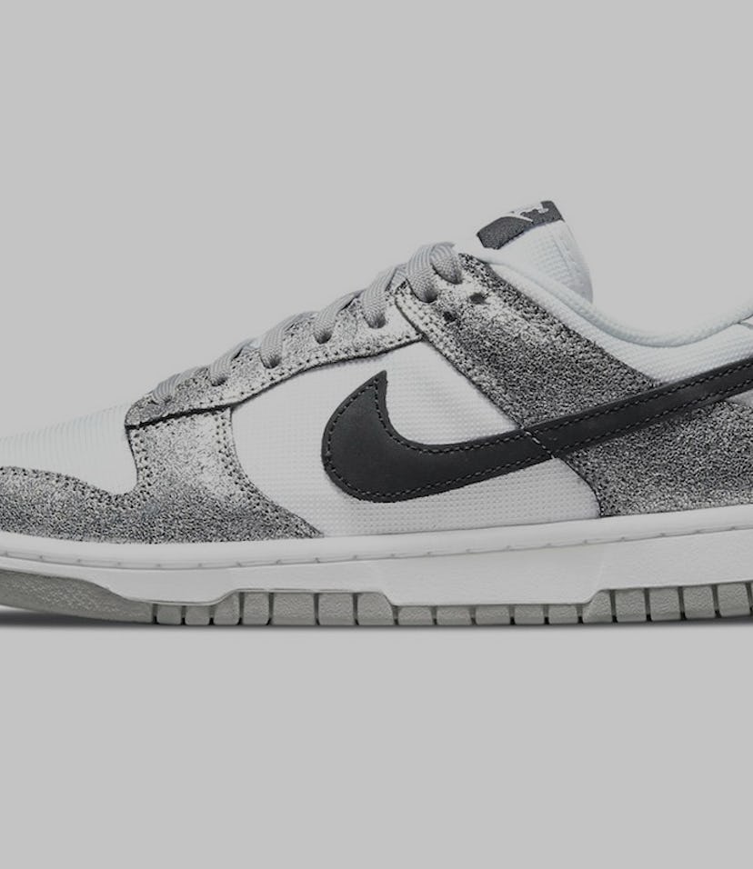 Nike Dunk Low Shimmer