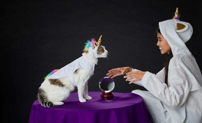 cat and girl in matching unicorn halloween costumes
