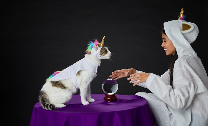 cat and girl in matching unicorn halloween costumes