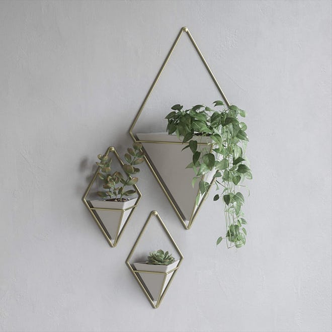 Umbra Trigg Hanging Planter Vase & Geometric Wall Decor