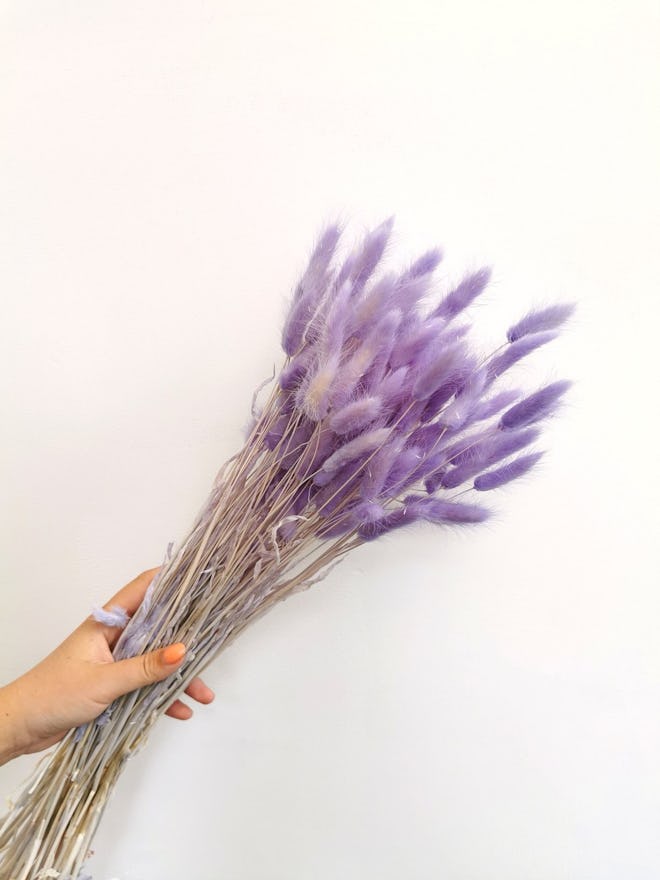 Dried Lilac Bunny Tails