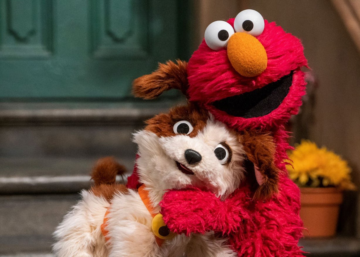 ‘Sesame Street’ Introduces Elmo’s Adopted Puppy To Teach Pet Responsibility