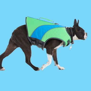 The Beach Bum Green & Blue Dog Flotation Vest