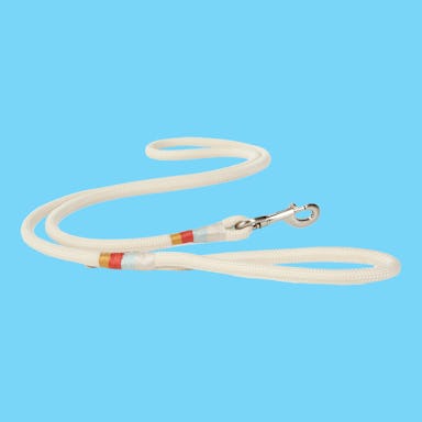 The Wanderer Cream Rope Dog Leash