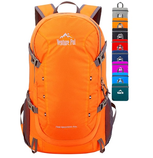 Venture Pal 40L Lightweight Packable Backpack