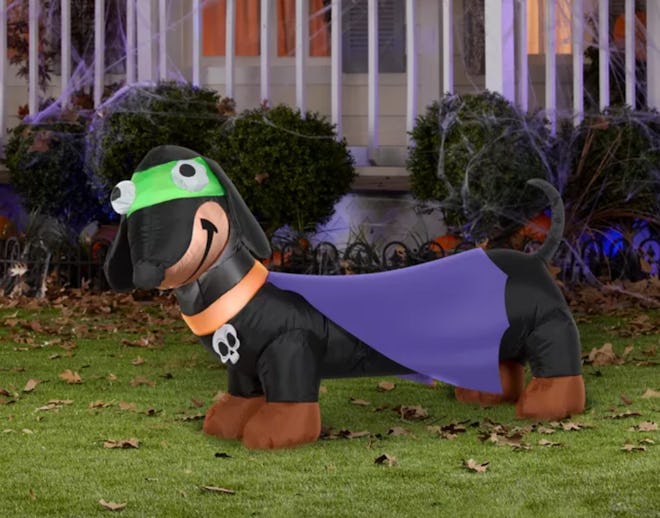 Gemmy Airblown Weiner Dog Treater w/Cape and Skull Collar