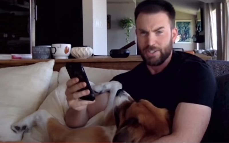 Chris Evans reads lines from Scott Pilgrim Vs. The World while cuddling his dog Dodger at home.