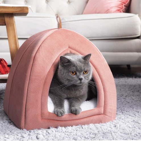 best cat beds