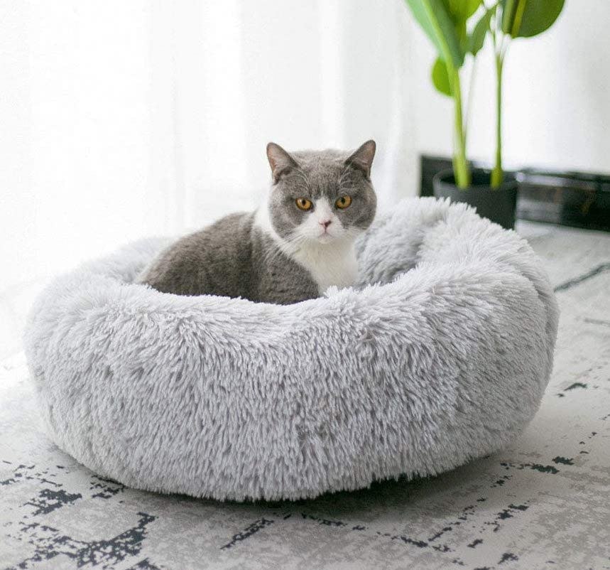 The 11 Best Cat Beds