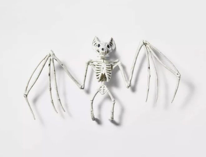 Hyde & EEK! Boutique™ Small bat Skeleton