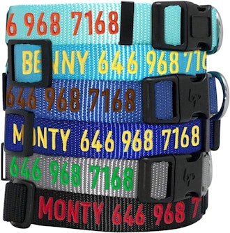 Blueberry Pet Personalized dog Collar
