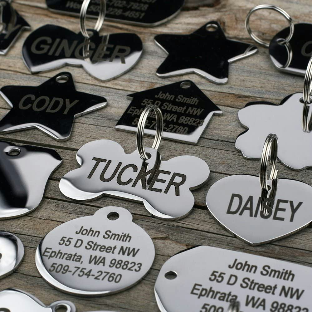 The 7 Best Dog ID Tags