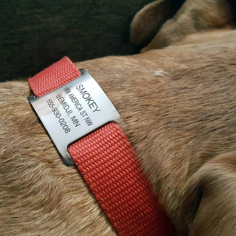 LuckyPet Slide-On Pet ID Tag