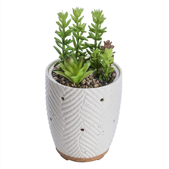 Joyvio Artificial Succulent Plants Essential Oil Diffuser