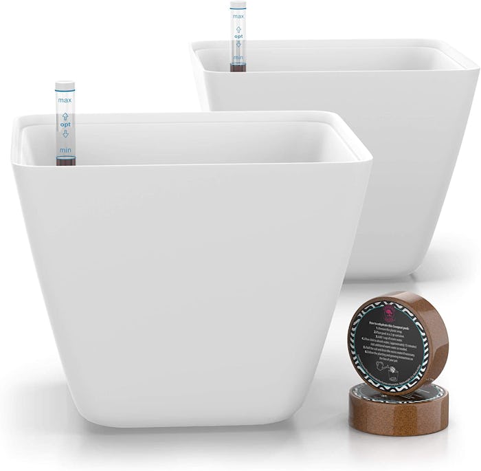 Gardenix Decor Self Watering Pots (2 Pack)