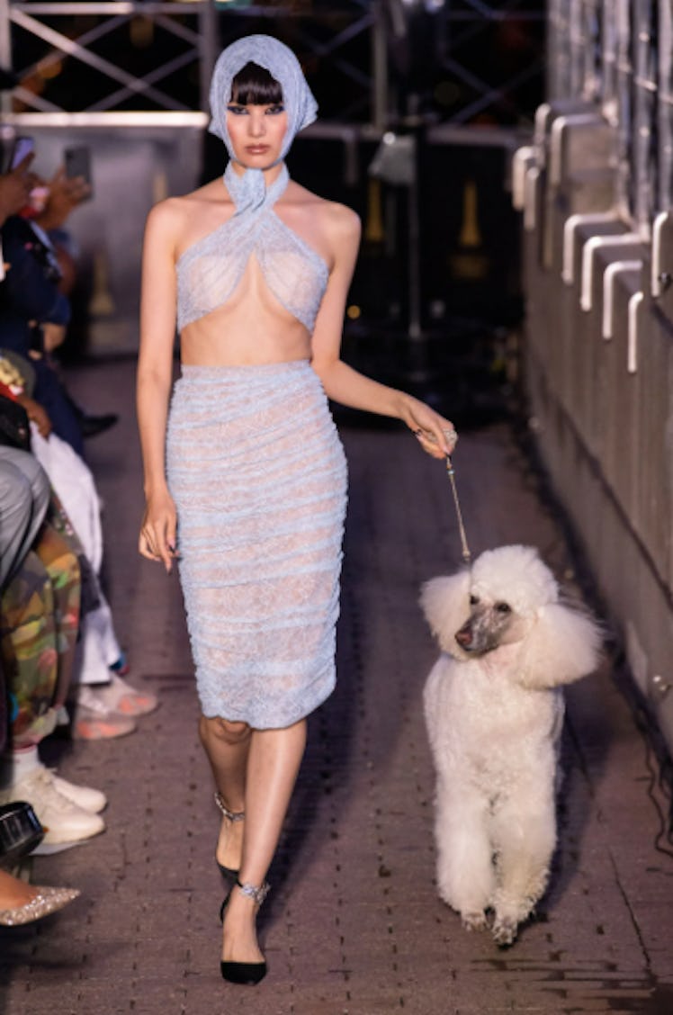 A model in a light-blue sheer set walking the runway with a poodle for LaQuan Smith during the NYFW ...