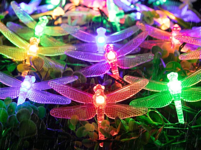 Brightown Dragonfly Solar String Lights