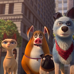 'Pets United ' (2019) is a movie for animal lovers
