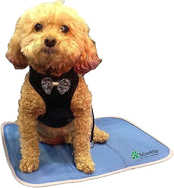 TheGreenPetShop Dog Cooling Mat